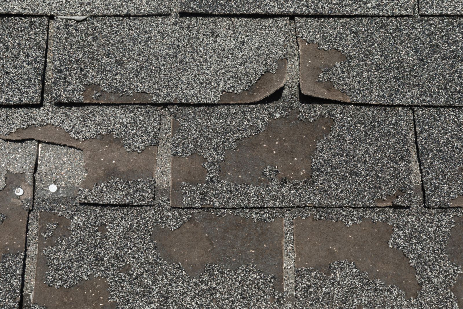 LJ Contractors Images